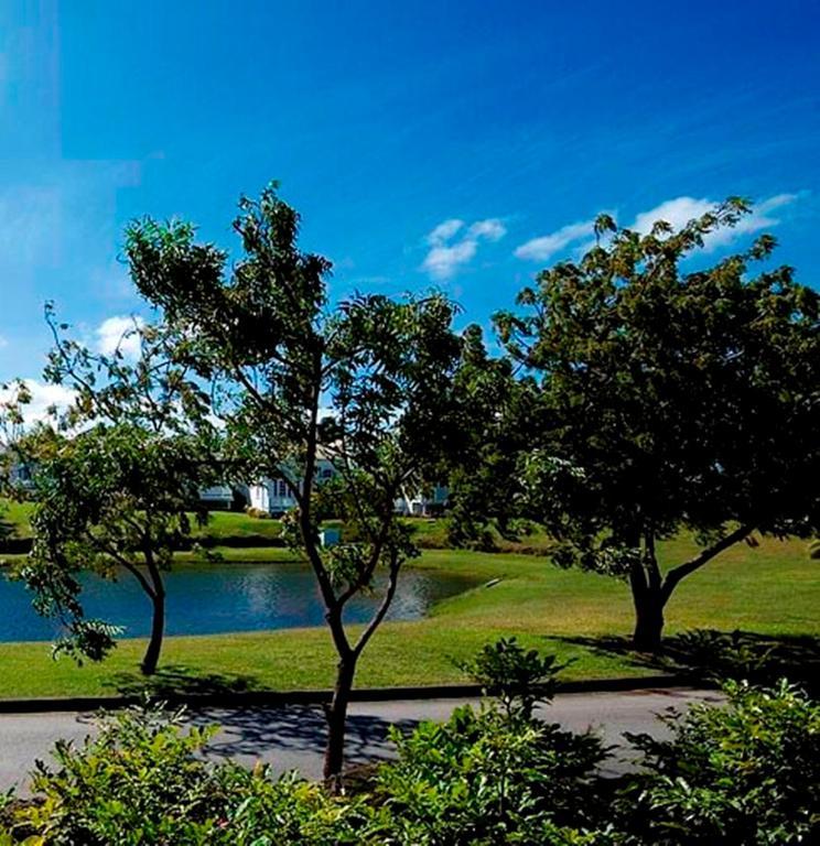 Coconut Grove 1, Luxury Villa By Island Villas Saint James Luaran gambar
